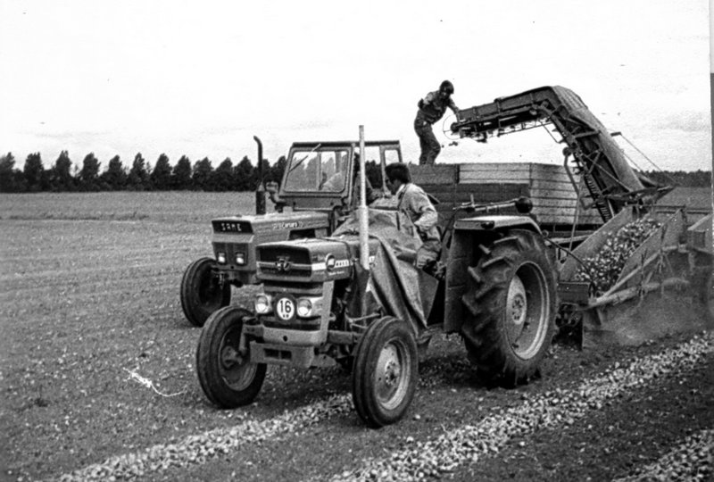 1957 – Verhuizing naar Noordoostpolder.